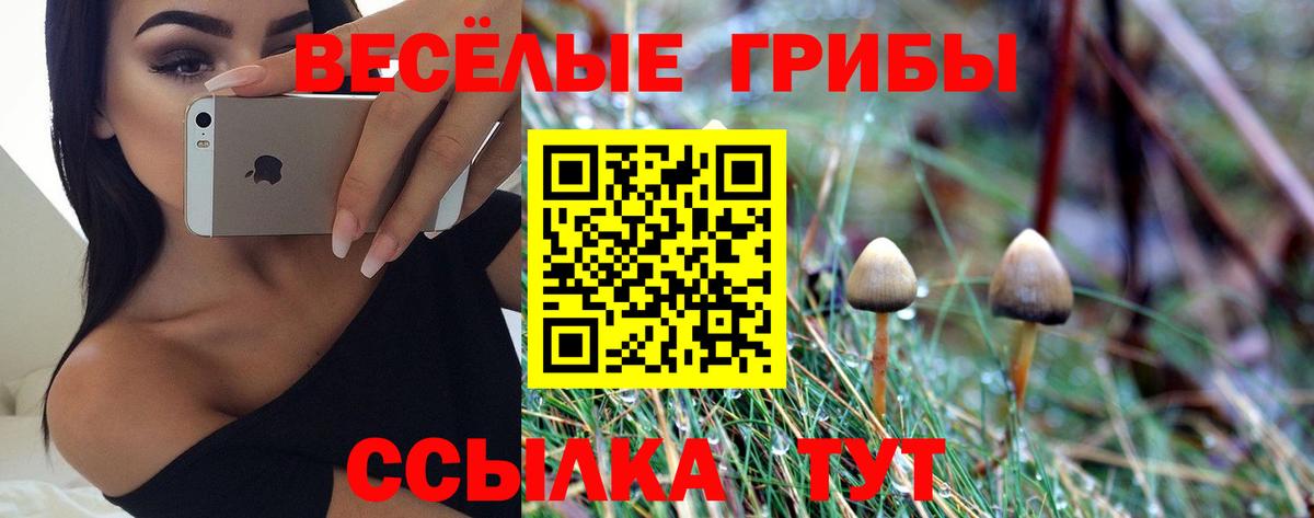Галлюциногенные грибы GOLDEN TEACHER  Вход с VPN  Галлюциногенные грибы Psilocybe  Боровичи 