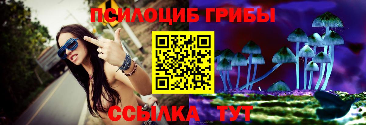 Галлюциногенные грибы Magic Shrooms Боровичи